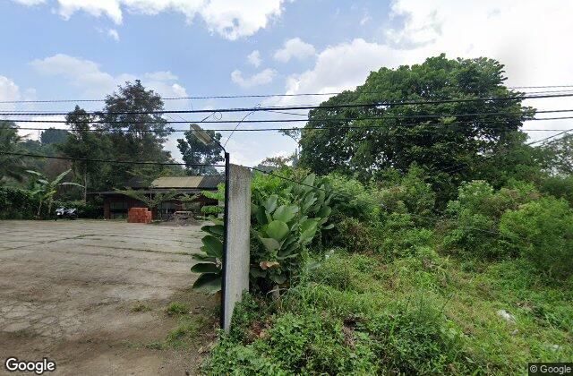 Street View of Pine Padel Club